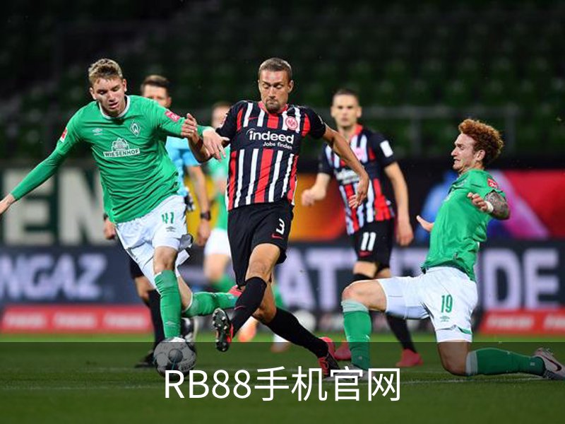 关于RB88手机官网
